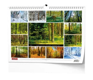 Wandkalender - Wald